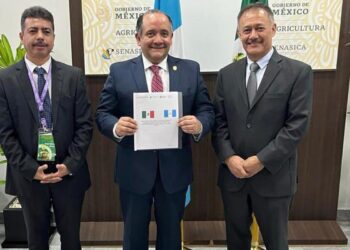 Melocotón guatemalteco logra admisibilidad en el mercado de México.