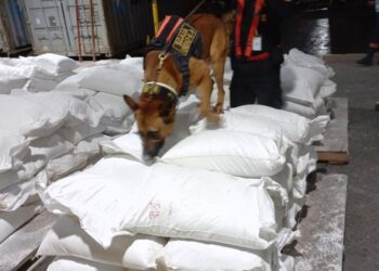 Intervenciones policiales permiten hallazgo de drogas y otros ilícitos