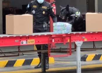 Unidad antinarcótica localiza droga en bodega de encomiendas