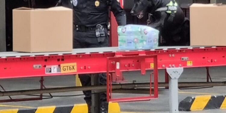 Unidad antinarcótica localiza droga en bodega de encomiendas
