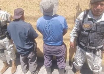 Capturan a cuatro personas por tala ilegal de producto forestal