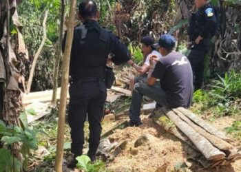 Capturan a personas por transporte y tala ilegal de madera en distintos lugares del país