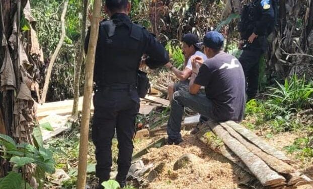 Capturan a personas por transporte y tala ilegal de madera en distintos lugares del país