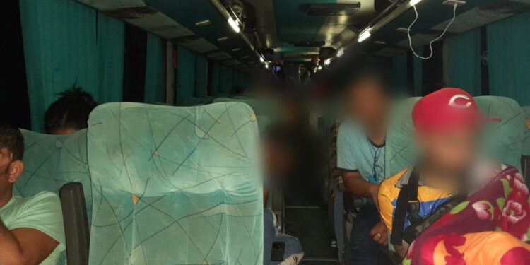 Piloto de autobús detenido por traslado de migrantes