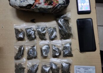 Dos personas detenidas con marihuana