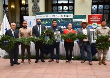 Autoridades priorizan la protección de bosques naturales de pinabete y tillandsias