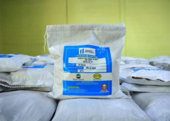 MAGA entregará semilla de maíz fortificado a personas damnificadas por el ciclón tropical Julia