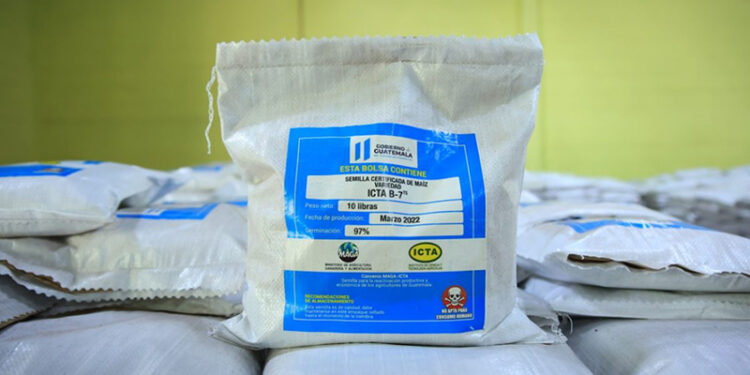 MAGA entregará semilla de maíz fortificado a personas damnificadas por el ciclón tropical Julia