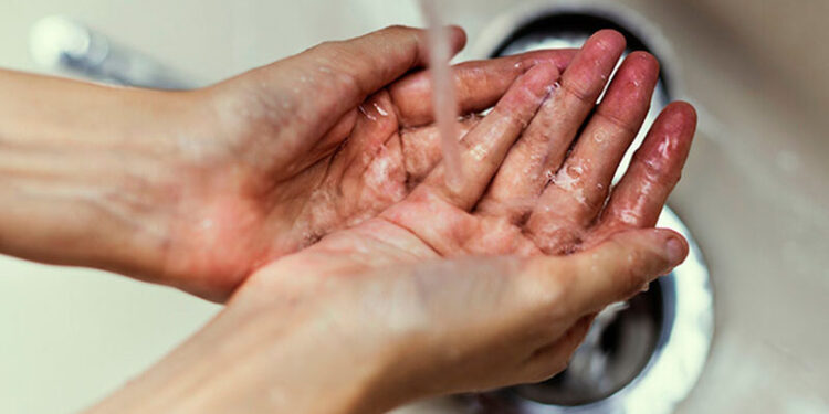 Intervenciones a nivel territorial promueven la nutrición de niñas y niños