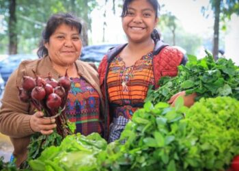 Intervenciones a nivel territorial promueven la nutrición de niñas y niños