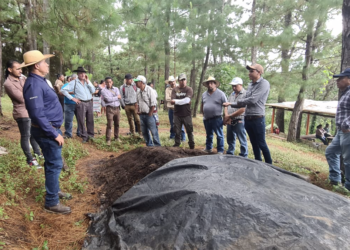 Pequeños agricultores de Jutiapa mejoran prácticas de cultivos