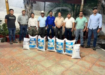 Agricultores reciben semilla de maíz para recuperar sus cultivos