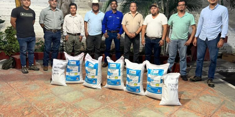 Agricultores reciben semilla de maíz para recuperar sus cultivos