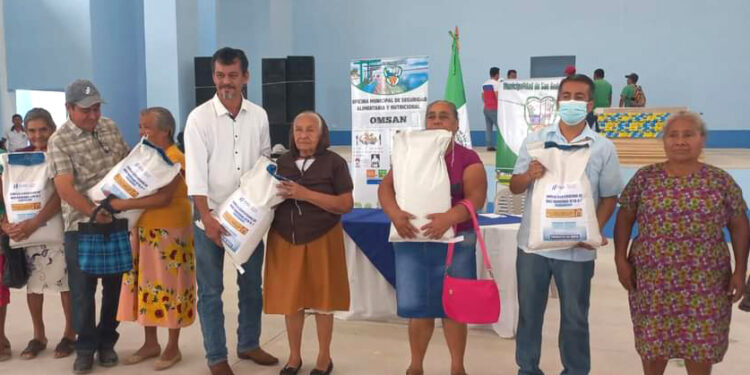 MAGA entrega semilla fortificada de maíz a miles de agricultores en Petén