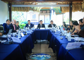 Guatemala busca atraer inversión para la producción de maíz