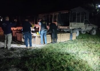 Decomisan más de 3.5 millones de cigarrillos en Petén