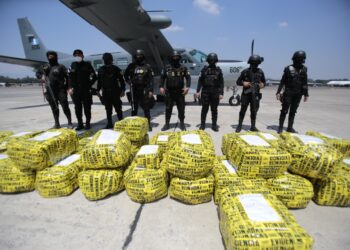 Incautan al narcotráfico más de Q3 mil 500 millones en drogas, plantaciones ilícitas, bienes y dinero en efectivo