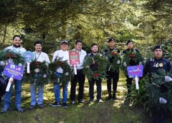 Instituciones buscan concientizar a la población sobre la protección del Pinabete