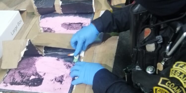 PNC decomisa droga en bodega de encomiendas