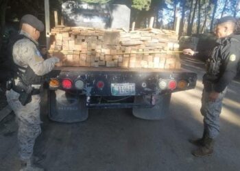 Capturan a persona por transporte ilegal de producto forestal en Chimaltenango