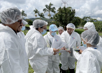 Guatemala fortalece conocimientos para prevenir ingreso del Fusarium