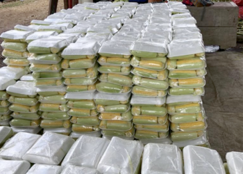 Productores de hortalizas en Jutiapa sacan provecho del moderno centro de acopio