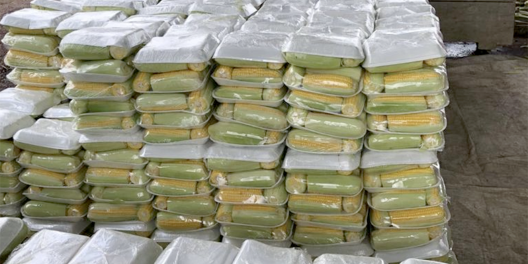 Productores de hortalizas en Jutiapa sacan provecho del moderno centro de acopio