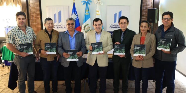 Guatemala se convierte en referente para la industrialización del Bambú