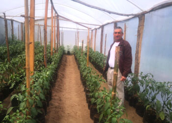 Fonagro incentiva un aumento en la productividad del área rural