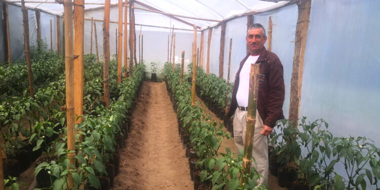 Fonagro incentiva un aumento en la productividad del área rural