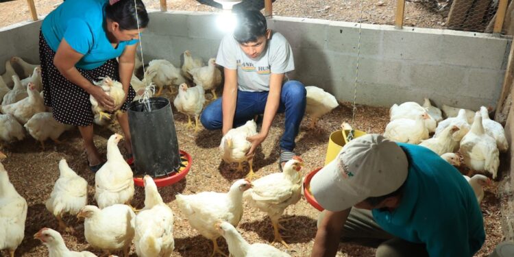 Alerta para prevenir incendios forestales y afecciones al sector pecuario con el uso de pirotecnia