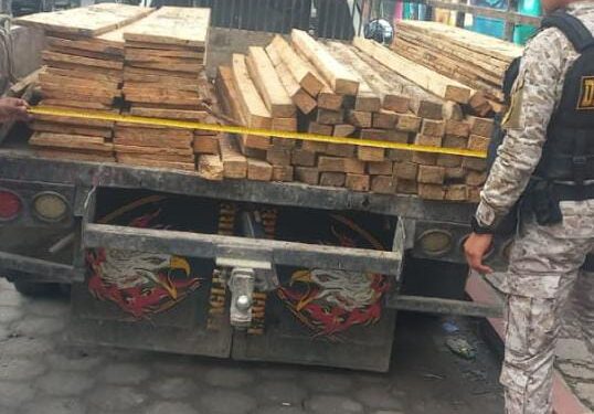 Diprona reporta capturas por recolección y traslado de producto forestal de forma ilegal