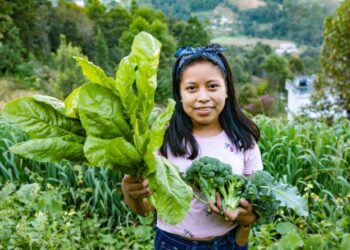 SESAN participa del diálogo transformación de los sistemas agroalimentarios y presenta actualización de la Política Nacional de Seguridad Alimentaria