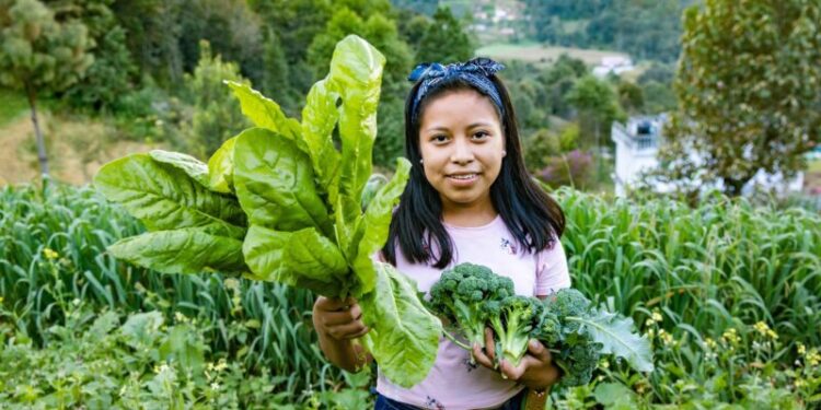 SESAN participa del diálogo transformación de los sistemas agroalimentarios y presenta actualización de la Política Nacional de Seguridad Alimentaria
