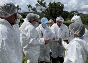 Guatemala fortalece conocimientos para prevenir ingreso del Fusarium