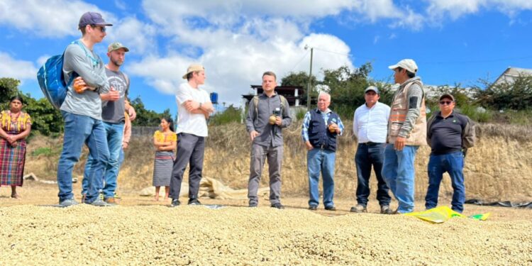 Café de San Juan Sacatepéquez explora el mercado de Estados Unidos