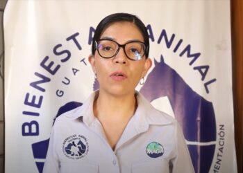 Investigan la muerte de tres perros en Quetzaltenango