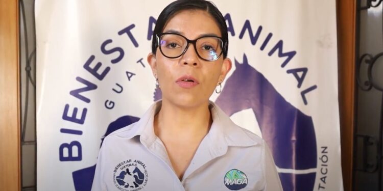 Investigan la muerte de tres perros en Quetzaltenango