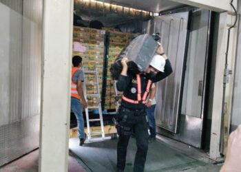 Antinarcóticos suma en primeros días de 2023 más de Q132 millones en incautaciones y erradicaciones