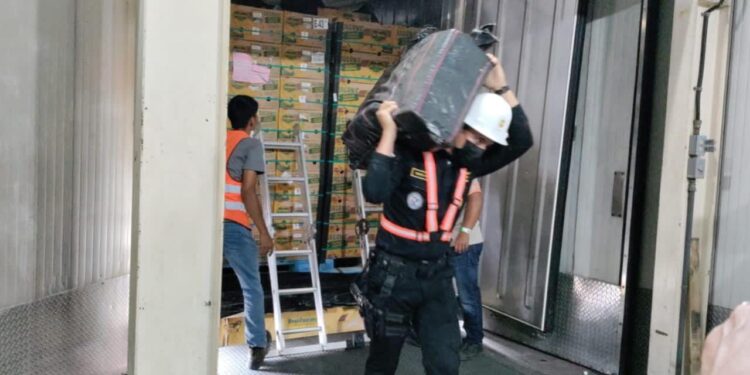 Antinarcóticos suma en primeros días de 2023 más de Q132 millones en incautaciones y erradicaciones