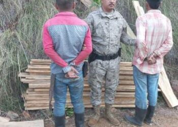Capturan dos personas por tala ilegal de producto forestal