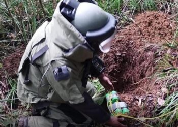 DIDAE decomisa armas, neutraliza explosivos y apoya en operativos