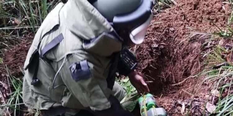 DIDAE decomisa armas, neutraliza explosivos y apoya en operativos