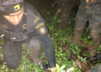 Avalúo de erradicación de plantaciones de arbustos de hoja de coca asciende a más de Q5 millones