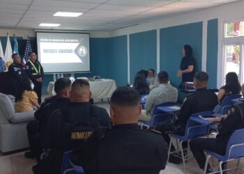 Autoridades refuerzan capacidades sobre manejo e incineración de sustancias químicas