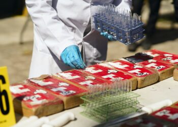 Transparentan procesos de incautación de droga para su destrucción