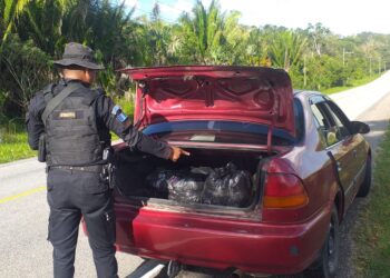 Conductor de vehículo capturado cuando transportaba marihuana