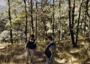 Diprona realiza patrullajes en zonas boscosas de Totonicapán