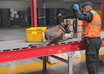 Unidad antinarcótica decomisa metanfetamina en bodega de encomiendas