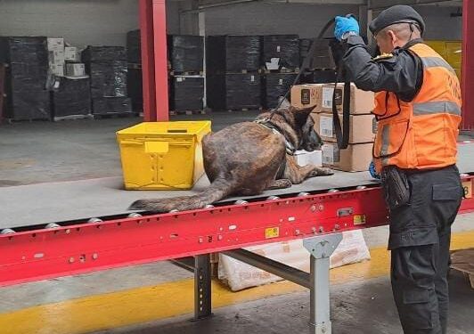 Unidad antinarcótica decomisa metanfetamina en bodega de encomiendas